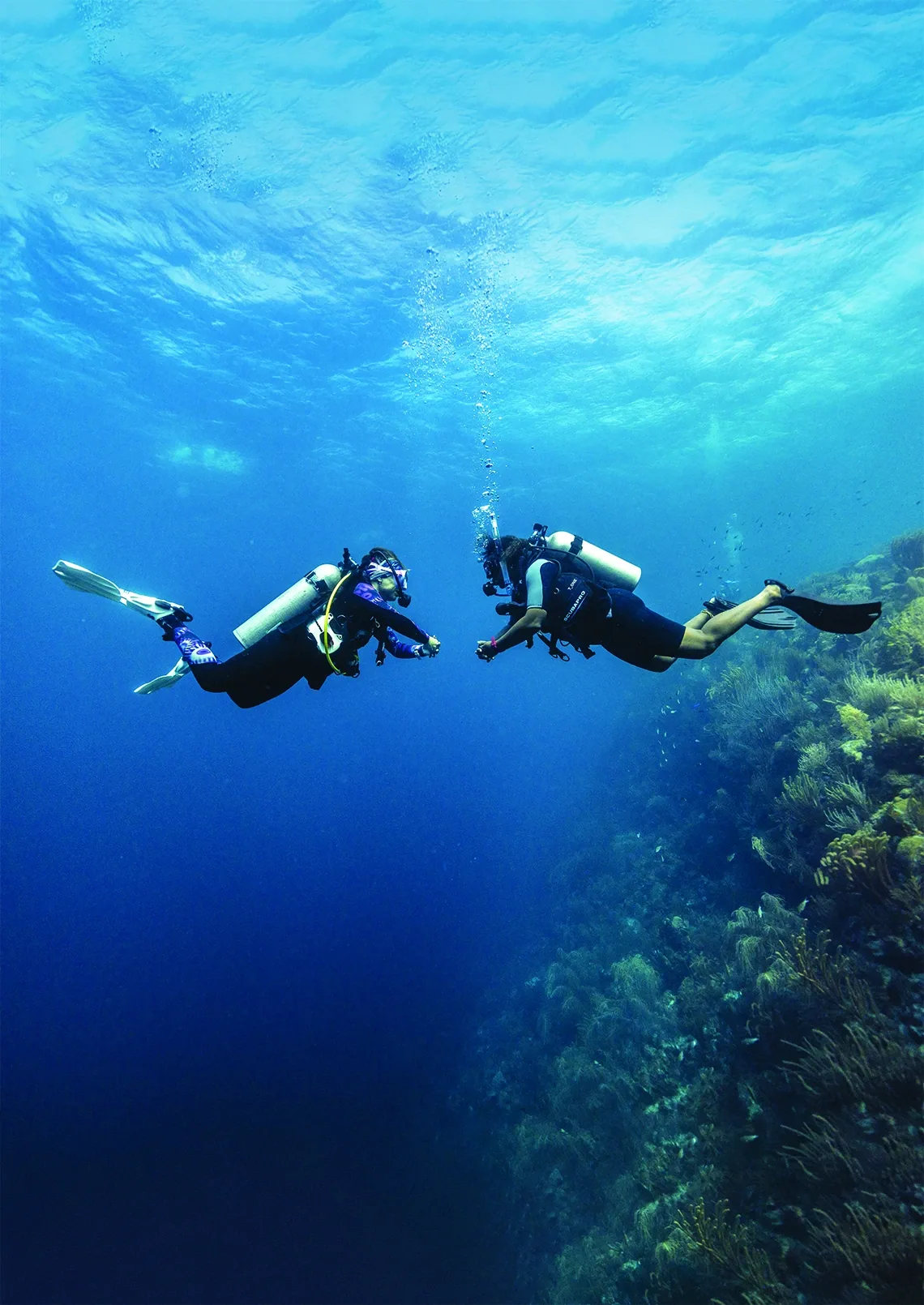 PADI 스페셜티 코스 장면 1